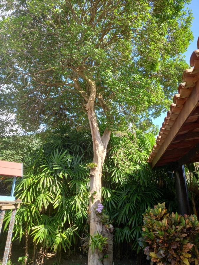 Familia Silvia Perico Villa Ilhabela Exterior photo